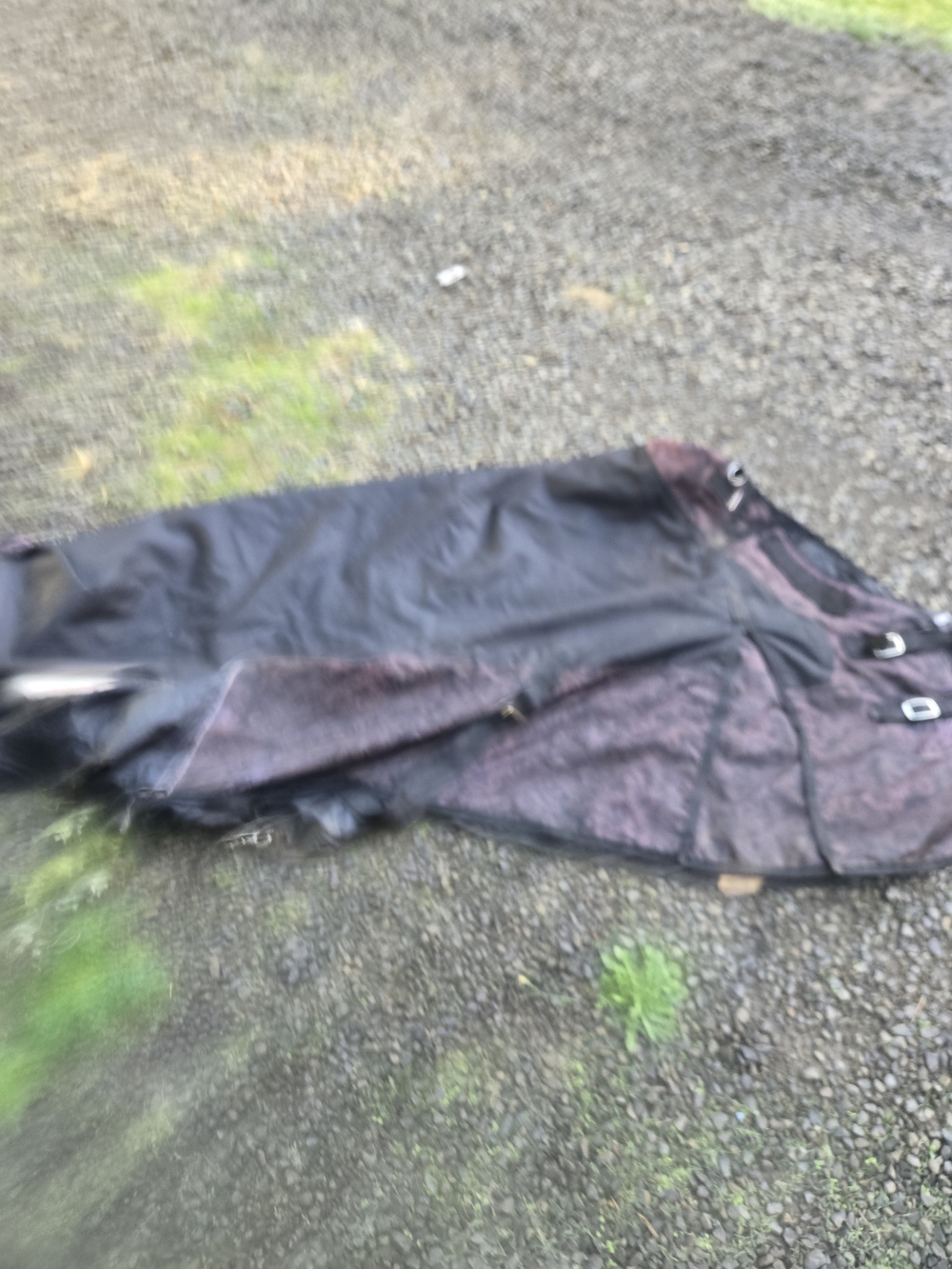Tough One Waterproof Horse Blanket Size 81